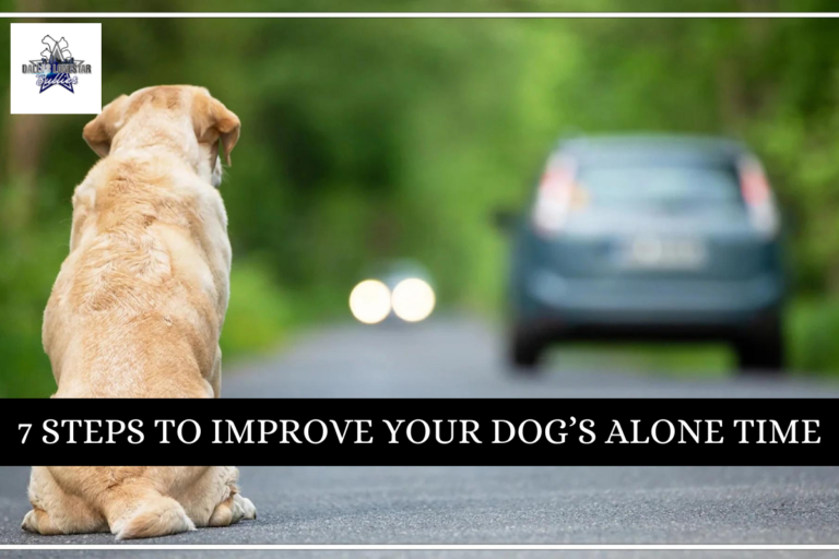 7 Methods To Enhance Your Dog's Alone Time