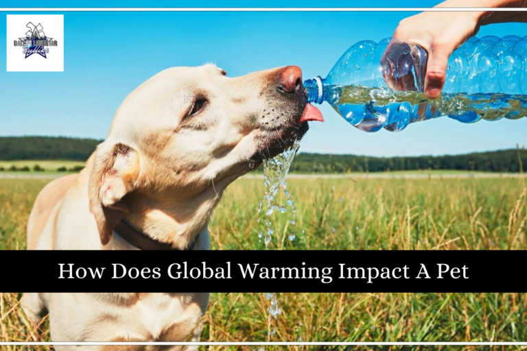 How Does Global Warming Impact A Pet